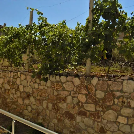 Vila Aleksandro