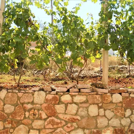 호텔 Vila Aleksandro