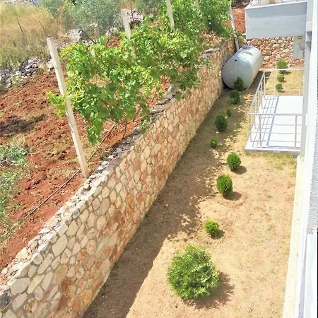 Vila Aleksandro كساميل